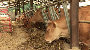 9개월 만에 구제역 발생&hellip;인천&middot;김포 긴급 예방접종