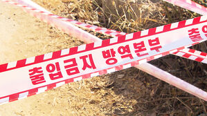 고병원성 조류인플루엔자 이어 구제역까지&hellip;가축 전염병 비상