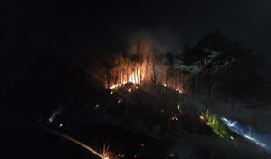 강원 동해 달방동 산불 1시간여 만에 주불 진화