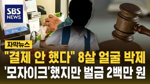 [자막뉴스] "결제 안 했다" 8살 얼굴 박제&hellip;'모자이크'했지만 벌금형