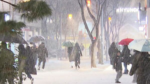 밤사이 하얗게 '수북'&hellip;곳곳 빙판길 주의