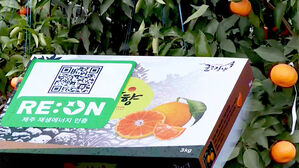 재생에너지로 감귤 생산&hellip;"탄소 중립&middot;농가소득 기여"