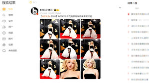 밤새 SNS 검색 순위 1위&hellip;중국서도 뜨거운 '그래미 상'