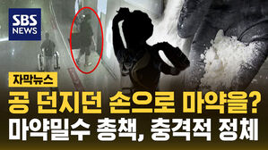 [자막뉴스] 공 던지던 손으로 마약을?&hellip;태국발 마약밀수 총책 잡고보니