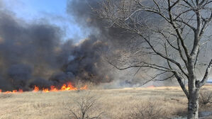 창원 대산면 갈대밭 화재 3시간 반 만에 꺼져&hellip;50대 방화범 체포