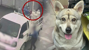 [사건X파일] 지인에게 반려견 맡겼더니&hellip;개농장 팔아넘기고 결국