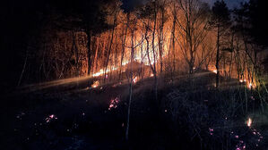 동해안은 '겨울 가뭄' 덮쳤다&hellip;바싹 마른 숲에 산불 비상