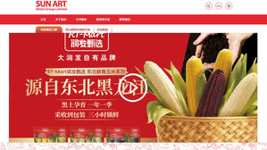 중국 대형 유통 업체 선아트 CEO 실종&hellip;'당국 조사설' 제기돼