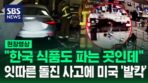 [현장영상] 갑자기 핸들 꺾더니 '쾅' 잇따른 차량 돌진 사고에 미국 공포