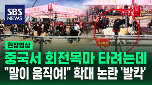[현장영상] "너무 잔인해!" 살아있는 말이 빙빙 도는 회전목마에 '경악'