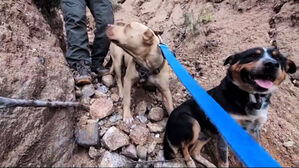 가파른 협곡 아래 웅크린 채 '멍멍'&hellip;극적 구조
