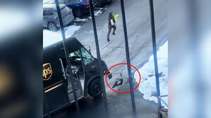 전력 질주 '번개 배송' 알고 보니&hellip;칠면조 탓