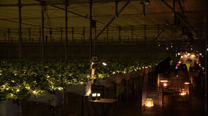 "20만 원 더 나왔네" 깜짝&hellip;요금 치솟자 발상 전환