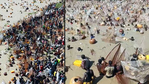 "오직 손과 그물로 낚아라"&hellip;우르르 몰려와 '풍덩'