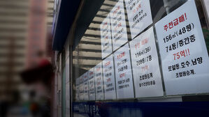 금융당국 투기1주택 기준 고심&hellip;규제대상 사업자대출 수조 원일 듯