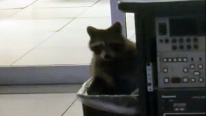 "사무실에 누가 있다" 한밤 침입자&hellip;반전 정체