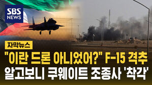 [자막뉴스] "이란 드론 아니었어?" 미군 F-15 격추 알고 보니 쿠웨이트 조종사 '착각'