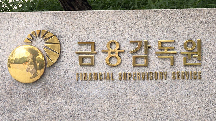 Financial Authorities Initiate Sanctions Against Coupang Pay and Coupang Financial, Aiming for Completion Within the Year