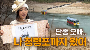 단종 오빠.. 나 청령포까지 왔어