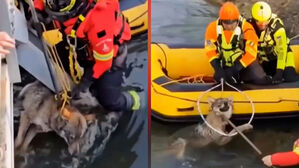 꼼짝 없이 갇혀 '덜덜'&hellip;위기 속 극적 구조