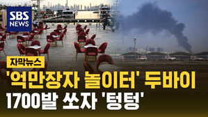 [자막뉴스] '억만장자의 놀이터' 두바이&hellip;2주 만에 '대탈출'