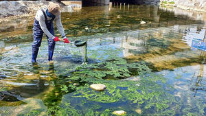 "이게 뭐야" 빗발친 신고&hellip;하천 위에서 '둥둥'