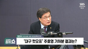 [정치쇼] 김대식 "주호영 가처분 이겨도 당 위해 불출마해야&hellip;부족해도 끝까지 장동혁으로"