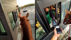 "드라이브 스루 맞죠?"&hellip;손님 보고 빵 터진 직원들