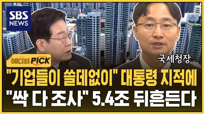 [에디터픽] 법인이 왜 이런 집을?&hellip;"명백한 탈세" 싹 다 잡는다