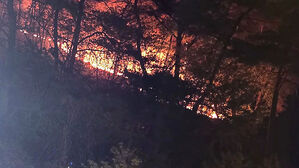 [낮리] 건조한 날씨에 밤사이 전국 곳곳서 산불 잇따라