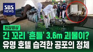 [현장영상] 3.6m에 달하는 괴물 난입? 짐바브웨 유명 호텔 '발칵'
