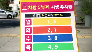 차량 2&middot;5부제 참여하면 보험료 2% 할인&hellip;제외 대상은?