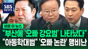 [바로이뉴스] 정청래 대표 '오빠 논란'에 국민의힘 "오빠 강요범" "아동 학대범" '맹비난'