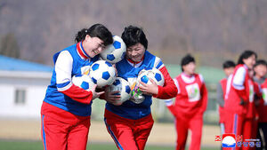 내고향축구단, 북한 선수단으로는 8년 만에 한국 방문