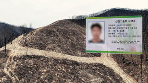 우후죽순 '유령회사' 봤더니&hellip;"산림 자격증 삽니다"