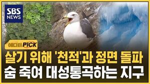 기후온난화