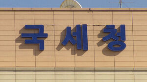불법 리딩방&middot;주가 조작 업체 등 고강도 세무조사