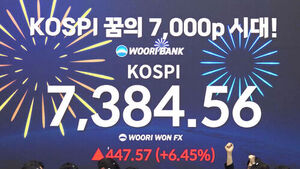 '7천 피' 속 불법 핀플루언서에 칼 빼든 당국&hellip;규제개선 첫 회의