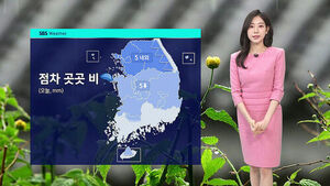 [날씨] 비구름 확대, 새벽까지 곳곳 비&hellip;'강한 바람' 주의