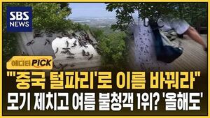 "'중국 털파리'로 이름 바꿔라"..모기 제친 여름 불청객 1위? '올해도'