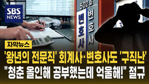 변호사 회계사
