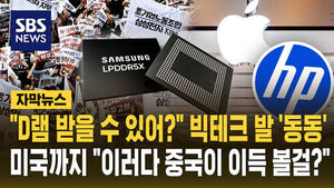 수정 디램디램