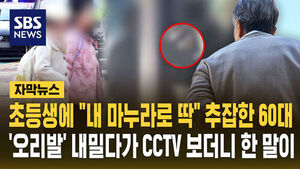 수정 추잡 60대