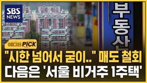 [에디터픽] "시한 넘어서 굳이" 줄어든 매물&hellip;다음은 '서울 비거주 1주택'