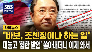 [자막뉴스] "바보, 조센징이나 하는 일"&hellip;폭언 쏟아내더니 결국