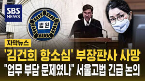 [자막뉴스] 업무 부담 문제였나&hellip;서울고법, 법관 사망에 '업무부담 경감 TF' 구성
