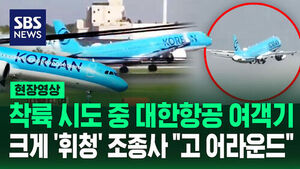 [현장영상] "고 어라운드" 착륙하는 순간 강풍 만난 여객기, 옆으로 기우뚱하더니