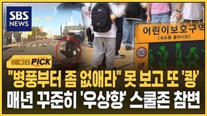 "병풍부터 좀 없애라" 못 보고 또 '쾅'..매년 꾸준히 '우상향' 스쿨존 참변