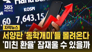 [자막뉴스] "삼전닉스 '줍줍'" 서양판 '동학개미'들 몰려온다&hellip;'미친 환율' 잠재울 수 있을까