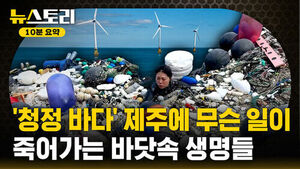 '청정 바다' 제주에 무슨 일이 죽어가는 바닷속 생명들